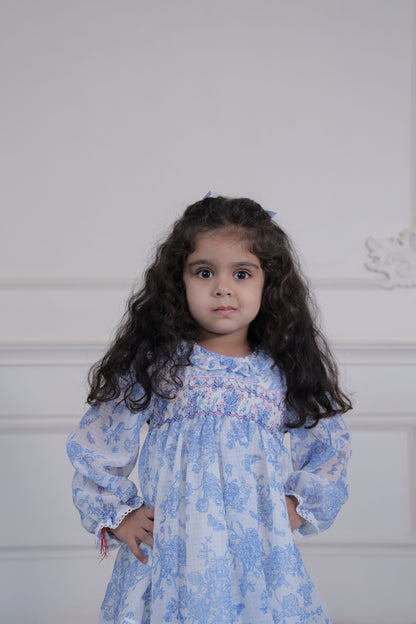Bunnykins Toile Blue Smocked Frock